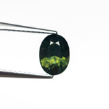 1.13ct 7.25x5.41x3.81mm Oval Brilliant Sapphire 26733-02