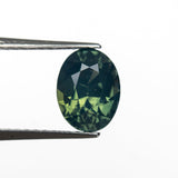 1.99ct 7.98x6.09x4.95mm Oval Brilliant Sapphire 28307-01