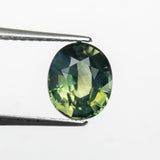 2.08ct 7.74x6.46x4.77mm Oval Brilliant Sapphire 28308-01