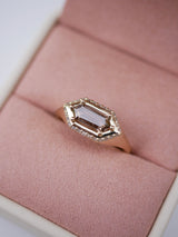 Hexagon Hidden Halo Signet