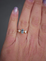 Blue Sapphire Compass Ring