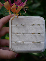 Chubby Diamond Band