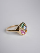 Mixed Cut Rainbow Signet Ring