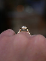 Oval Diamond Olympia