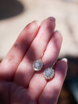 Diana Halo Fishhooks