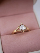 Hexagon Diamond Split Shank Ring