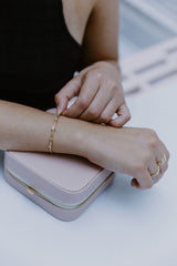 Blush Deluxe Travel Case