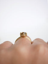30% OFF: Round Hidden Halo Champagne Diamond Ring