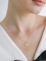 Moth Charm