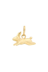 Rabbit Charm