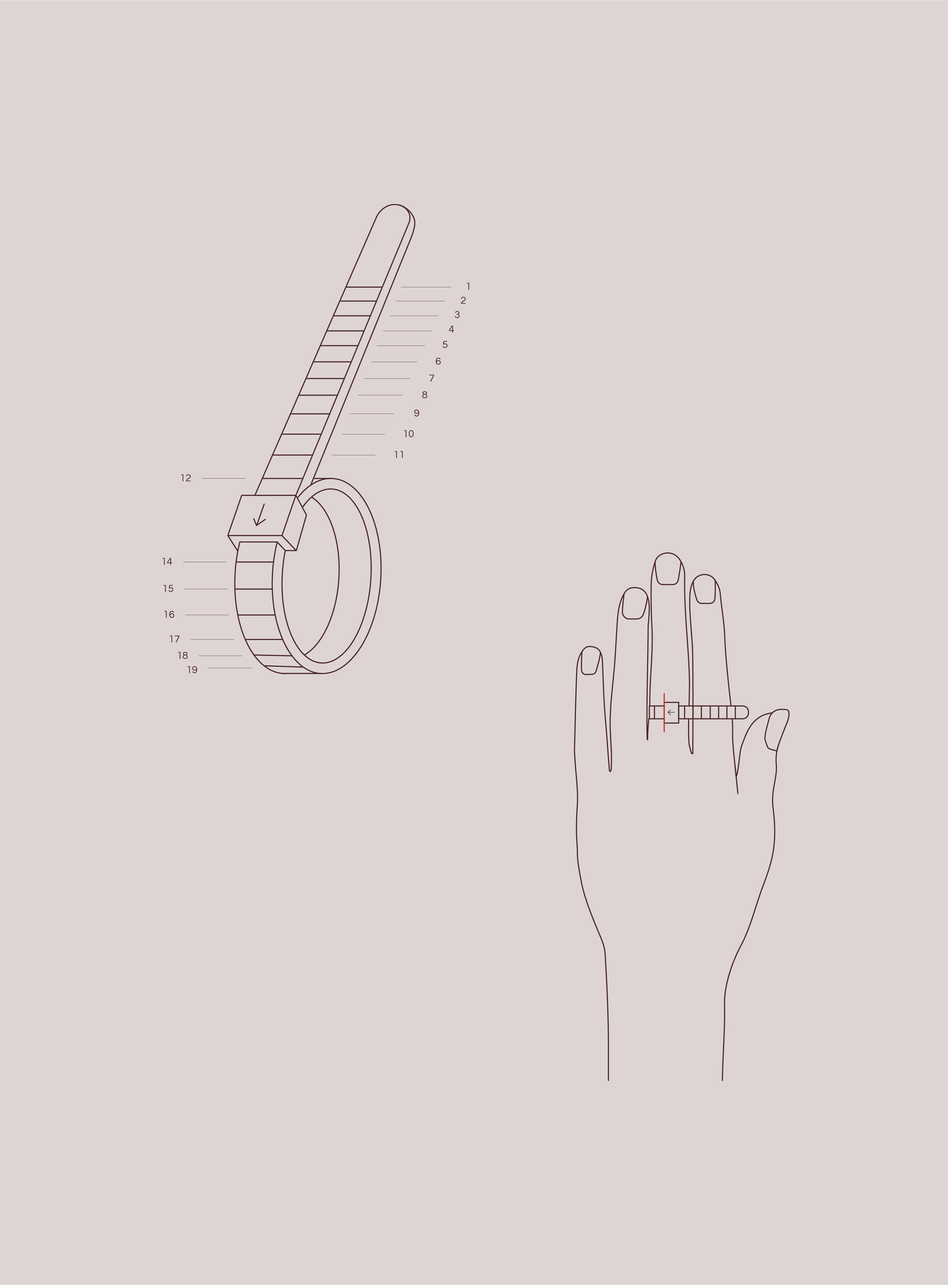 Ring Sizer – Emily Warden Designs