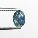 0.94ct 6.91x5.06x3.36mm Oval Brilliant Sapphire 19939-45