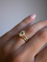 Champagne Baguette Band