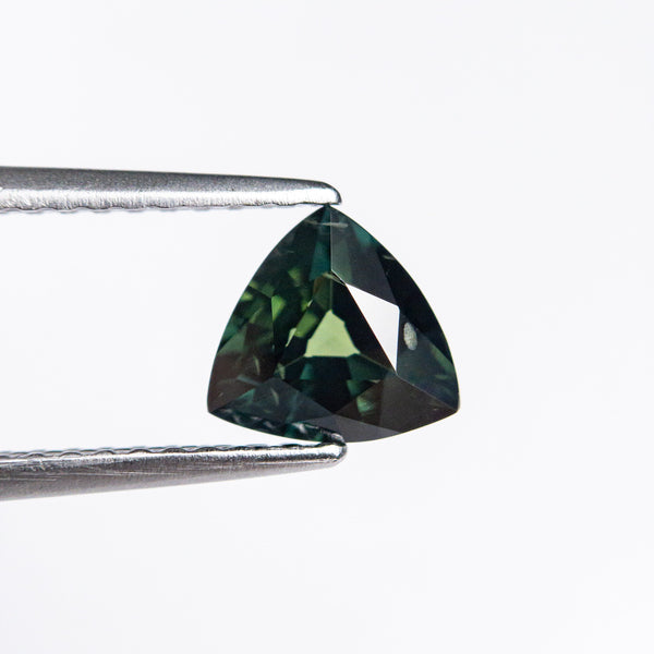 0.98ct 6.07x6.45x3.58mm Trillion Brilliant Cut Sapphire 20994-17