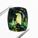 5.33ct 10.90x9.06x5.93mm Cushion Brilliant Sapphire 21606-02