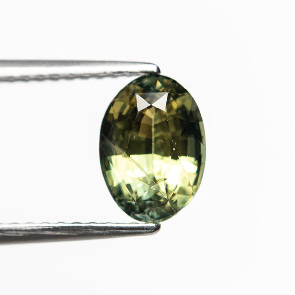 1.67ct 8.11x5.80x4.25mm Oval Brilliant Sapphire 21989-01