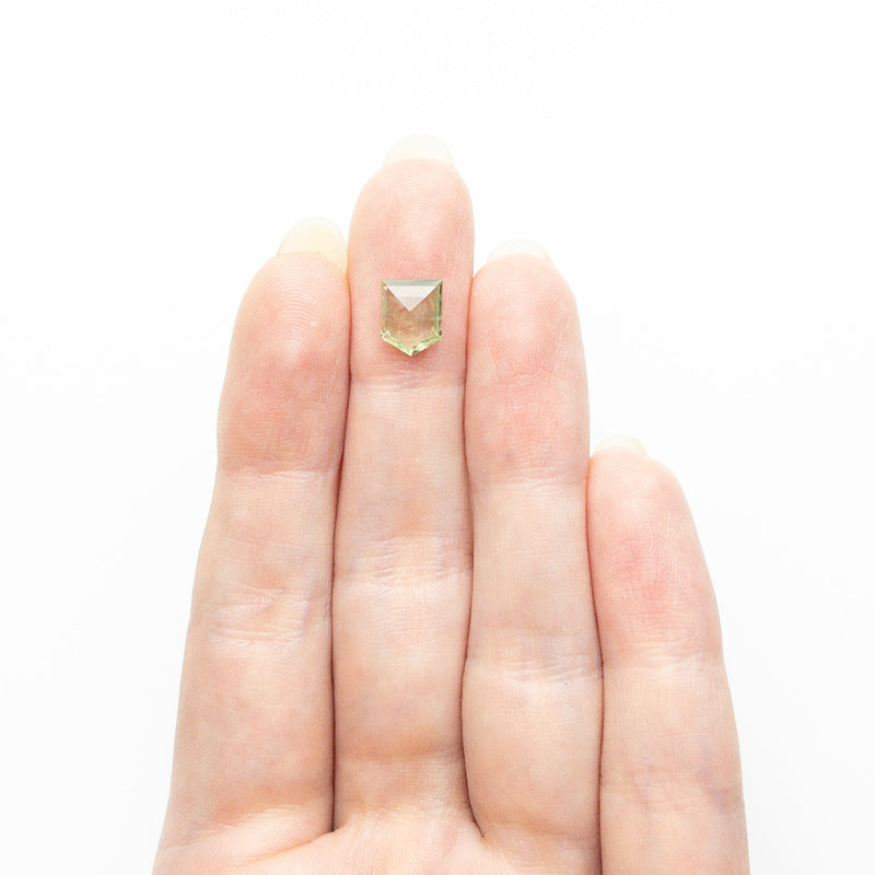 1.46ct 8.02x6.41x2.51mm Pentagon Rosecut Sapphire 22434-129