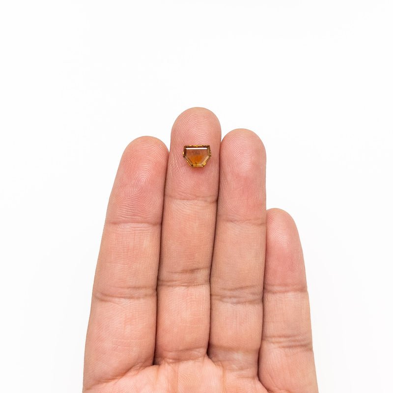 1.64ct 6.23x8.17x2.47mm Shield Portrait Cut Sapphire 23469-41