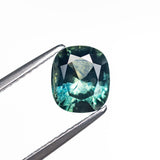 1.39ct 7.15x6.23x3.88mm Cushion Brilliant Sapphire 26619-06