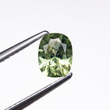 0.91ct 6.69x5.12x3.35mm Cushion Brilliant Sapphire 26674-02