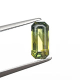 1.20ct 8.69x4.15x3.05mm Cut Corner Rectangle Step Cut Sapphire 27353-01
