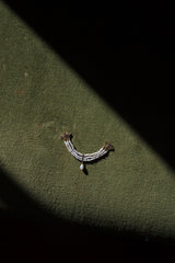 Mini Twin Moths Brooch