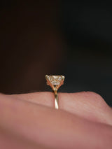 Champagne Diamond Cushion Hidden Halo