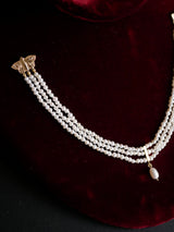 Twin Moths Collar Brooch