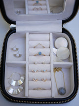 Deluxe Travel Case - Emily Warden Designs