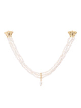 Twin Moths Collar Brooch