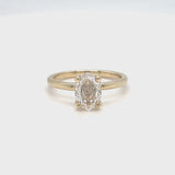 Rosecut Diamond Hidden Halo