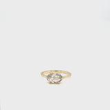 Oval Salt & Pepper Diamond Ring